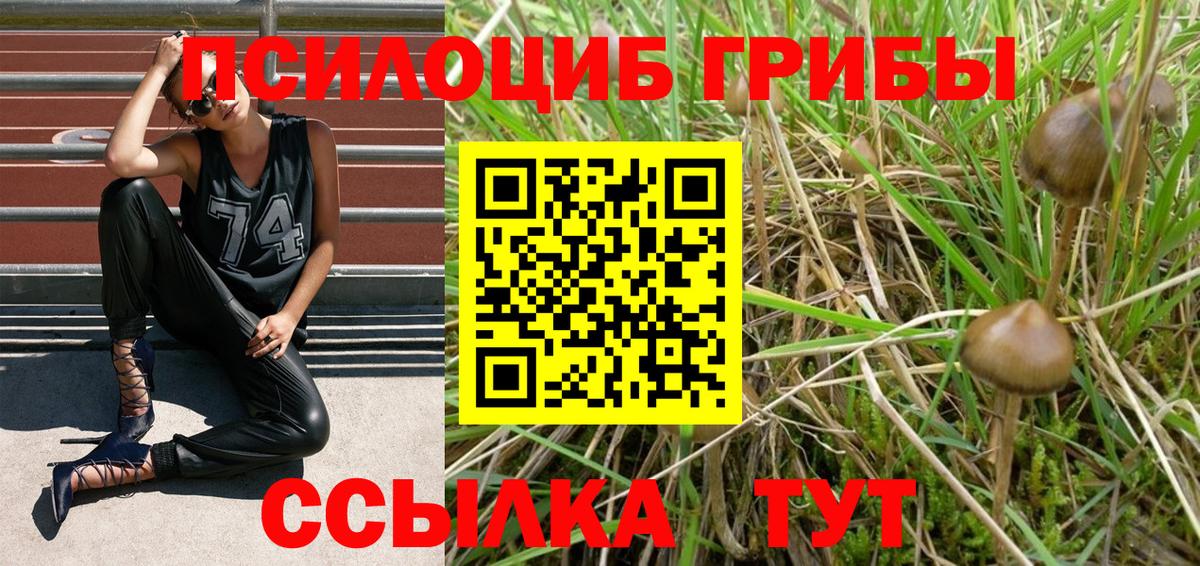 Псилоцибиновые грибы Cubensis  Вход с VPN  Батайск 